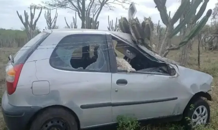 O animal não resistiu aos ferimentos.