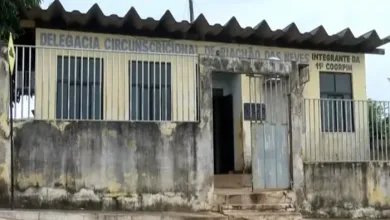 Mulher é morta com golpes de faca no distrito de Cariparé, em Riachão das Neves — Foto: Reprodução/TV Bahia