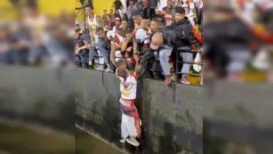 Torcedor do Vitória pula em fosso de estádio para pegar jaqueta, e torcida vibra com retorno — Foto: Manuela Silva