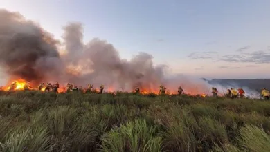 Incêndio na Serra do Candombá, na Chapada Diamantina. Crédito: Divulgação/ICMBio