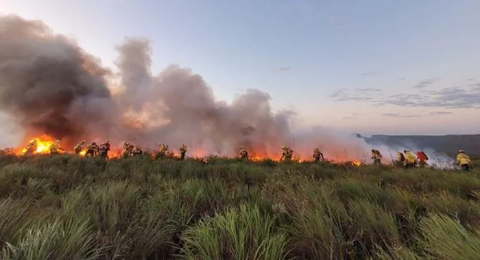 Incêndio na Serra do Candombá, na Chapada Diamantina. Crédito: Divulgação/ICMBio