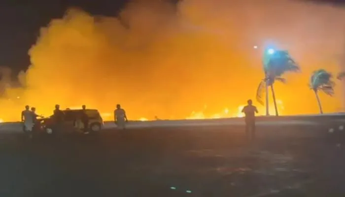 Fogo atinge desde quarta-feira (6), áreas de vegetação no norte da Bahia — Foto: Reprodução/TV São Francisco