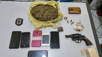 Cerca de 11 mandados foram cumpridos contra o tráfico de drogas- Foto: Divulgação/Polícia Civil