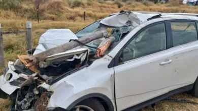 Três pessoas ficam feridas após colisão entre carro e cavalo- Foto: Reprodução