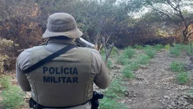 Polícia Militar prende homem suspeito de tráfico de drogas- Foto: Divulgação