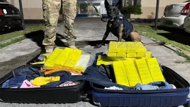 Cerca de 50 kg de maconha foram apreendidos dentro de mala em ônibus de turismo na Bahia — Foto: Divulgação/PRF