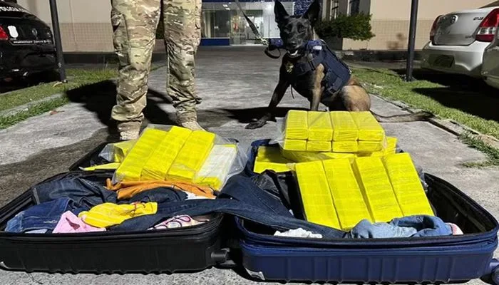 Cerca de 50 kg de maconha foram apreendidos dentro de mala em ônibus de turismo na Bahia — Foto: Divulgação/PRF