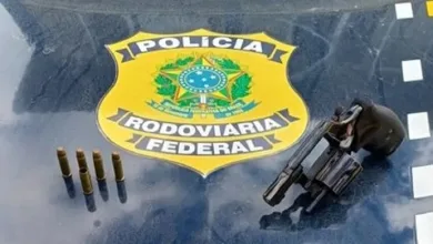 Caminhoneiro é detido com arma após PRF notar "volume incomum" - Foto: Divulgação | PRF