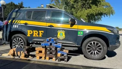 PRF apreende 67 kg de maconha em ônibus interestadual na BR-116 — Foto: Polícia Rodoviária Federal