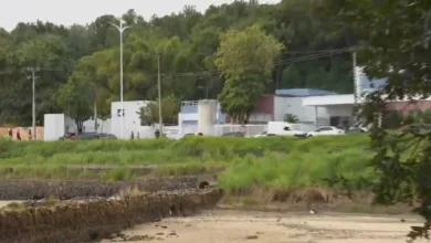 Corpo de mulher é encontrado com golpes de faca e preso em pedra- Foto: Reprodução/TV Aratu