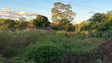 Idosa desaparecida é localizada em matagal- Foto: Divulgação/Corpo de Bombeiros