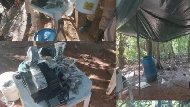 PM desmonta acampamento e apreende 20 kg de maconha - Foto: Reprodução