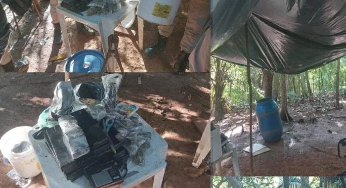 PM desmonta acampamento e apreende 20 kg de maconha - Foto: Reprodução