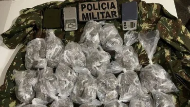 Polícia apreende cerca de trezentas porções de maconha- Foto: Divulgação/PM BA