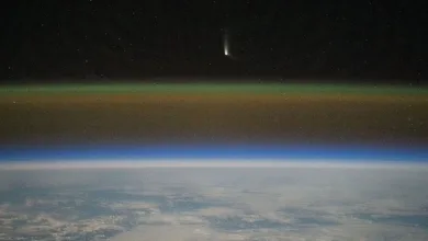 Cometa do Século fica visível em todo o Brasil; saiba como observar- Foto: Reprodução/Matthew Dominick/NASA