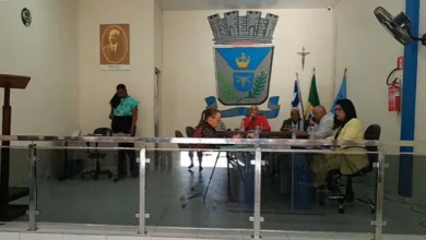 Sessão Ordinária da Câmara Municipal de Teodoro Sampaio - Foto: Reprodução/Vídeo